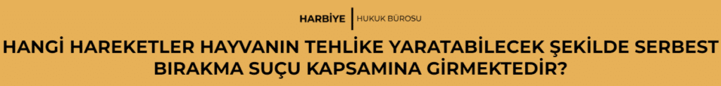 HANGİ HAREKETLER HAYVANIN TEHLİKE YARATABİLECEK ŞEKİLDE SERBEST BIRAKMA SUÇU KAPSAMINA GİRMEKTEDİR?