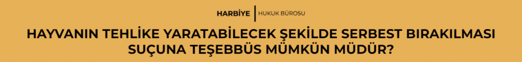 HAYVANIN TEHLİKE YARATABİLECEK ŞEKİLDE SERBEST BIRAKILMASI SUÇUNA TEŞEBBÜS MÜMKÜN MÜDÜR?