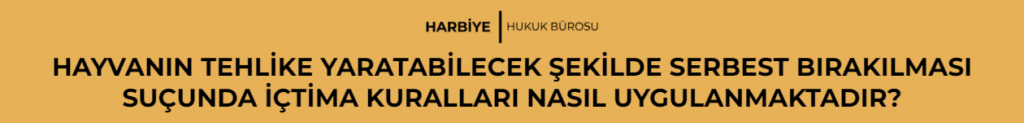 HAYVANIN TEHLİKE YARATABİLECEK ŞEKİLDE SERBEST BIRAKILMASI SUÇUNDA İÇTİMA KURALLARI NASIL UYGULANMAKTADIR?