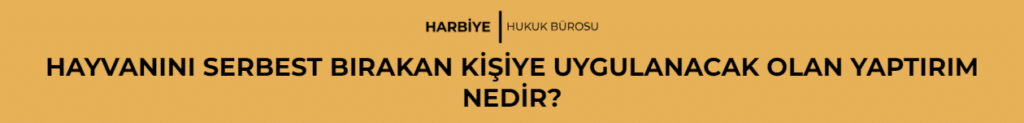 HAYVANINI SERBEST BIRAKAN KİŞİYE UYGULANACAK OLAN YAPTIRIM NEDİR?