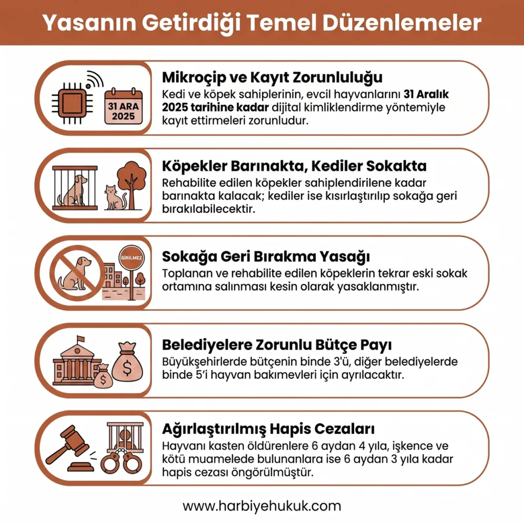 Sokak Hayvanları Yasası