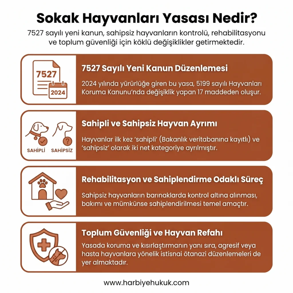 Sokak Hayvanları Yasası Nedir?