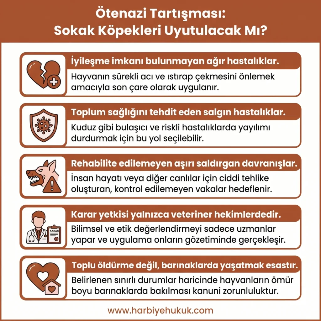 Sokak Hayvanları Yasası ve Ötenazi Tartışması