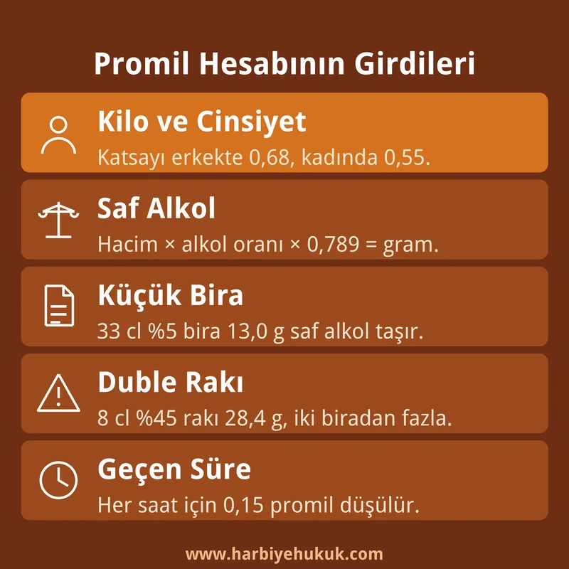 Promil Hesabının Girdileri